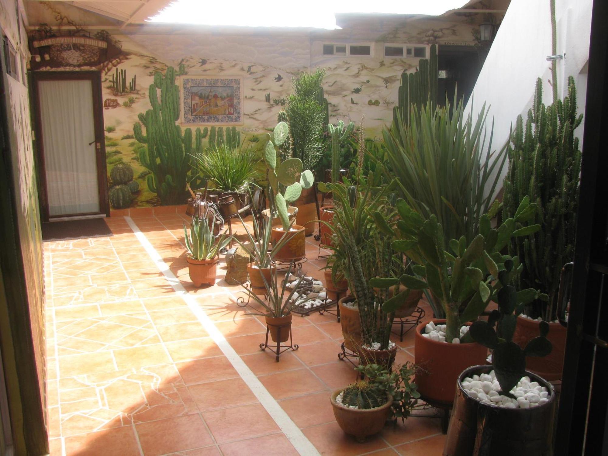 Casa Zuniga B&B กัวนาฮัวโต ภายนอก รูปภาพ